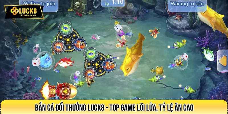 Bắn Cá Đổi Thưởng LUCK8 - Top Game Lõi Lửa, Tỷ Lệ Ăn Cao