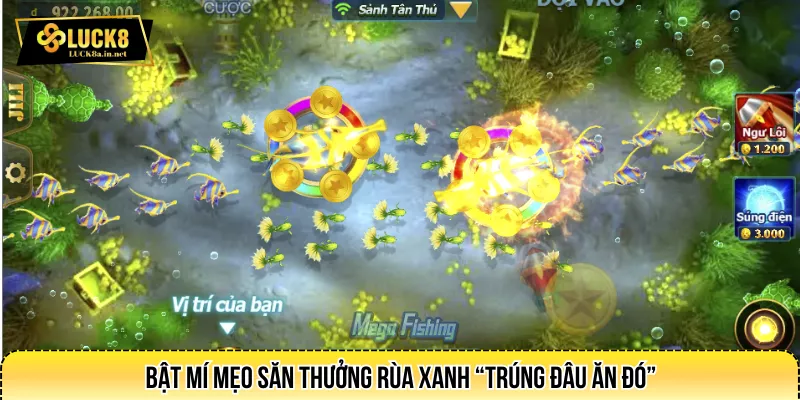 Bật mí mẹo săn thưởng rùa xanh “trúng đâu ăn đó”