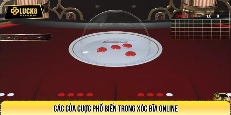Các cửa cược phổ biến trong xóc đĩa online