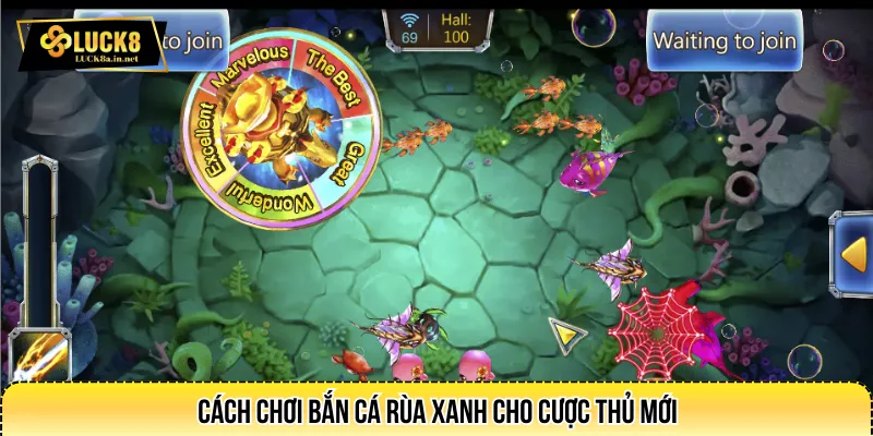 Cách chơi bắn cá rùa xanh cho cược thủ mới