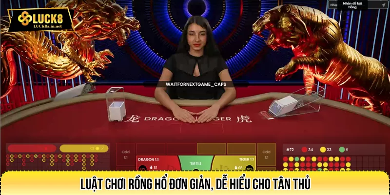 Luật chơi Rồng Hổ đơn giản, dễ hiểu cho tân thủ