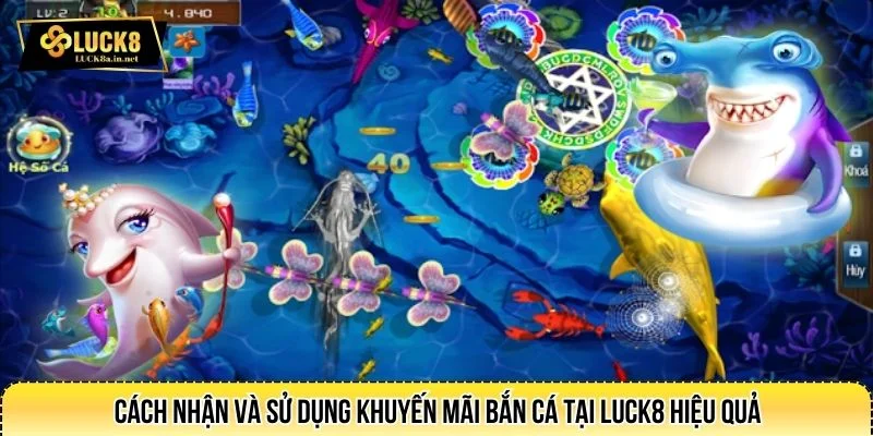 Tìm hiểu các điều kiện nhận khuyến mãi